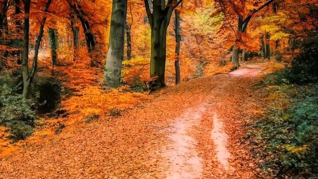 Peaceful Music, Relaxing Instrumental Music, Study Spa music Trees of Life by Ti 6ч смотреть онлайн
