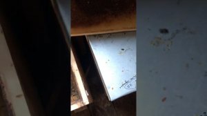 Как спасти опоношеные рамки 🧐