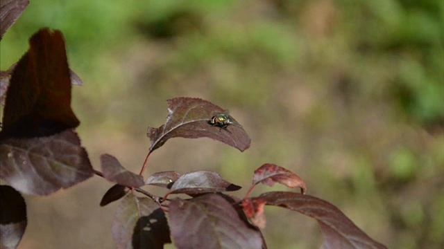 Nikon D3200 kit lens 18 105 mm photography смотреть онлайн