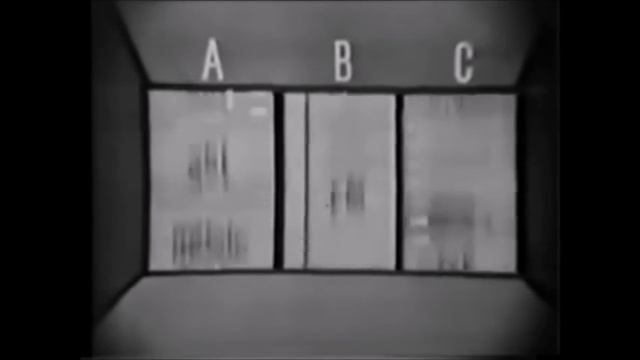 Screen Gems Television Logo History смотреть онлайн