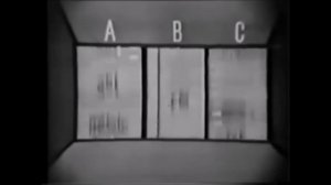 Screen Gems Television Logo History