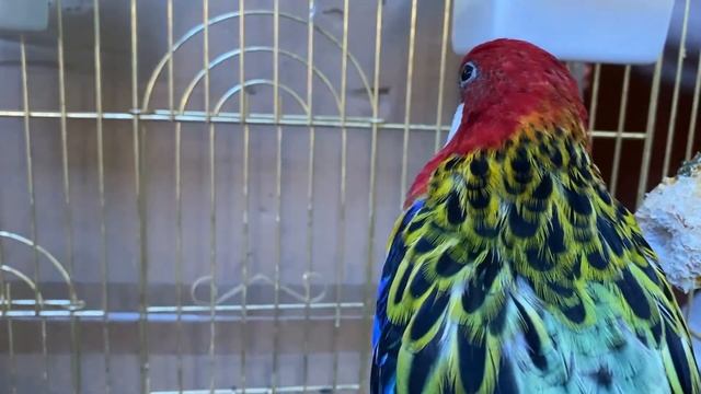 Строительные Инсайты