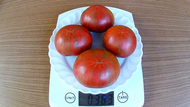 Dark Queen. Томат - Темная Королева смотреть онлайн