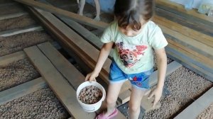 Утепление пола керамзитом