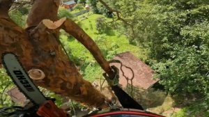 Арбористика | Спил дерева частями с завешиванием в ограниченном пространстве рядом с постройками