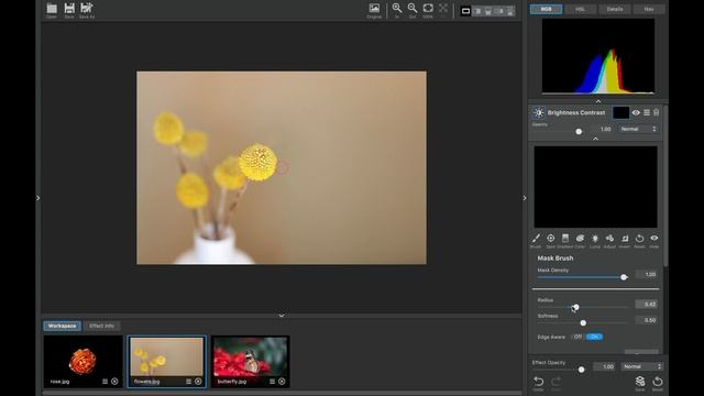 Topaz Studio Brightness Contrast Adjustment Tutorial смотреть онлайн