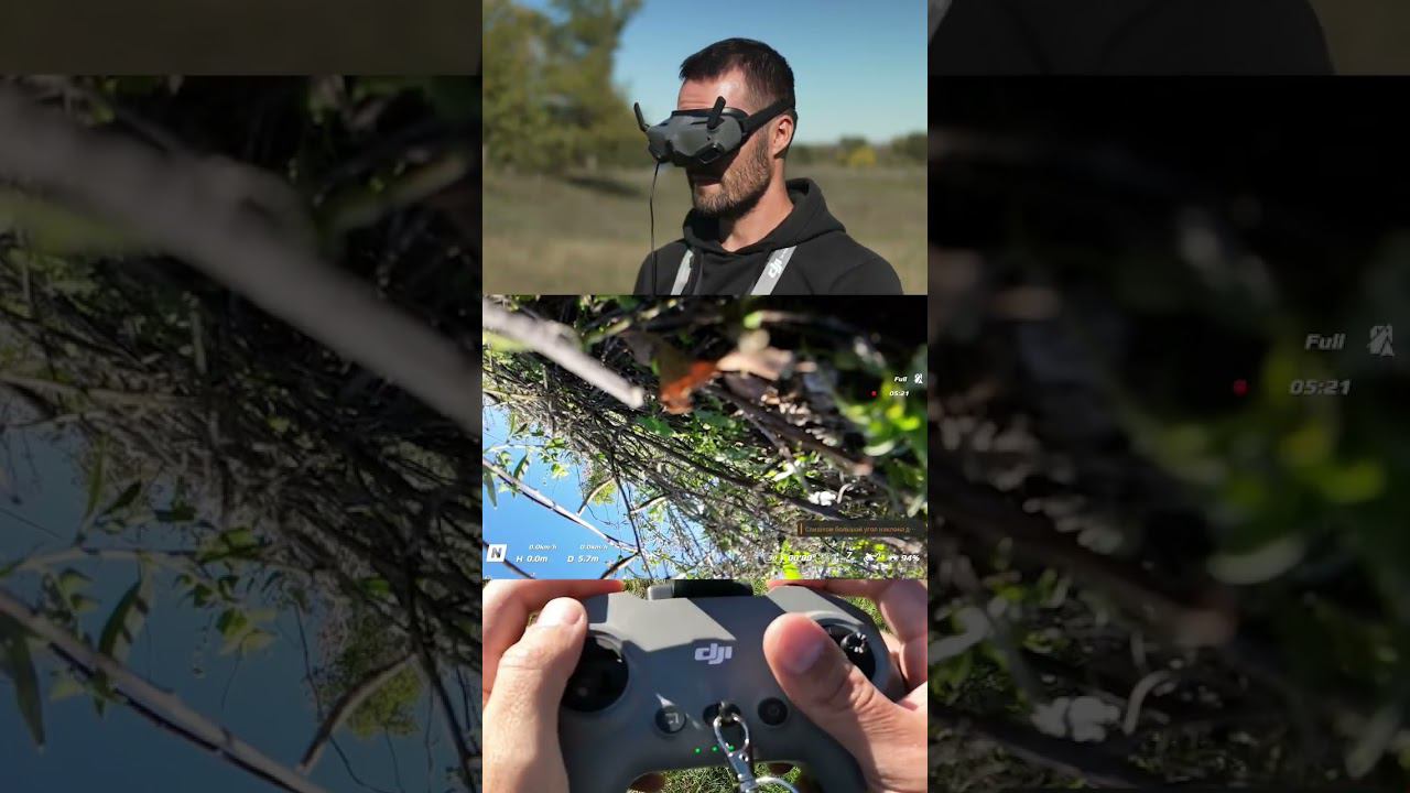 DJI Avata врезался в дерево #shorts смотреть онлайн