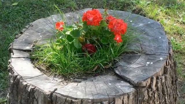 Клумбы.Идеи для клумб. смотреть онлайн