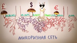 К КАКОМУ ИНТЕРНЕТУ ПОДКЛЮЧЕНЫ ДЕРЕВЬЯ? — ТОПЛЕС