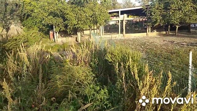 А, ленивый делает дважды?доказано?мной?