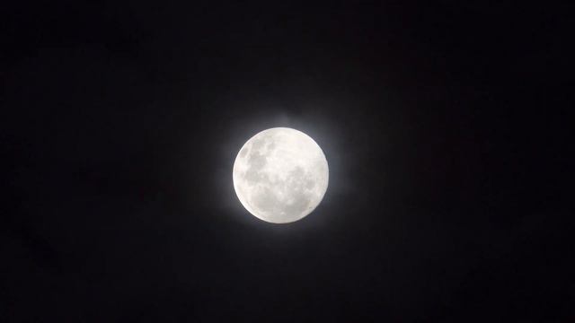 Beethoven Moonlight Sonata🌕Бетховен Місячна Соната🌙🌕🌟 Full version смотреть онлайн