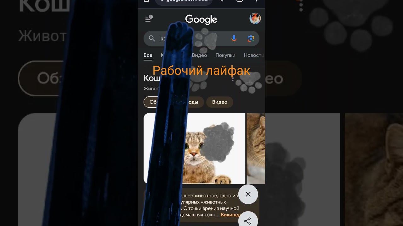 22 января 2024 г. смотреть онлайн