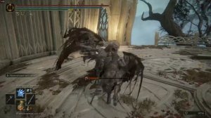 Быстрый путь до босса Лоретта, рыцарь Святого Древа - Elden Ring