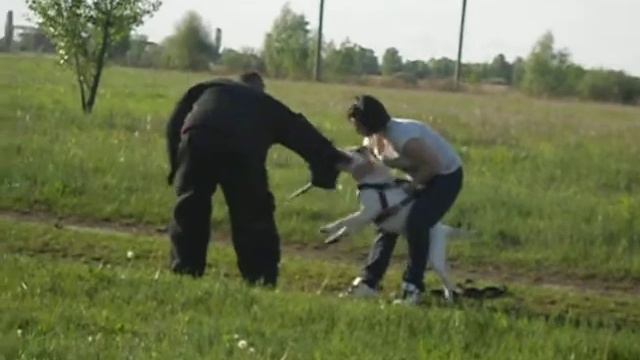 ЗКС-6 смотреть онлайн