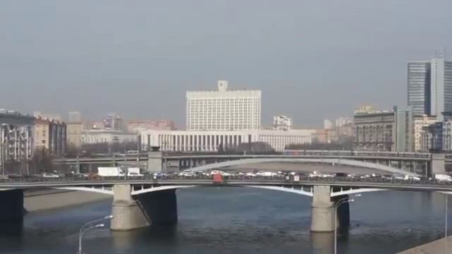 Taunigma год работы с местными компаниями смотреть онлайн