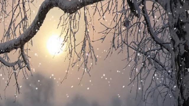 Я стала больше на тебя похожа, читает Н Черноусова, стихи Г. Пятисотских смотреть онлайн