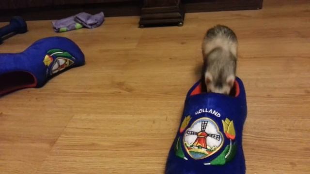 Хорьки и кломпы смотреть онлайн