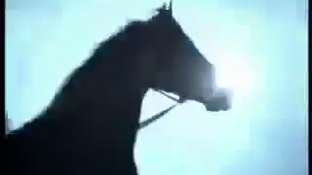 Валерий Меладзе - Иностранец