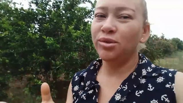 vendido *** SÓ 110 MIL SÍTIO À VENDA RICO EM FRUTAS E ÁGUA смотреть онлайн