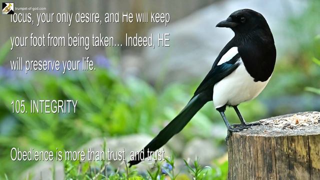 The Lord's Call... What is Obedience, what is Trust ? 🎺 Words of Wisdom from Jesus Christ смотреть онлайн