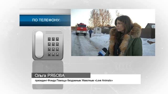 В Калининском районе сгорел собачий приют. Новые подробности смотреть онлайн