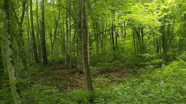 Шаумян смотреть онлайн