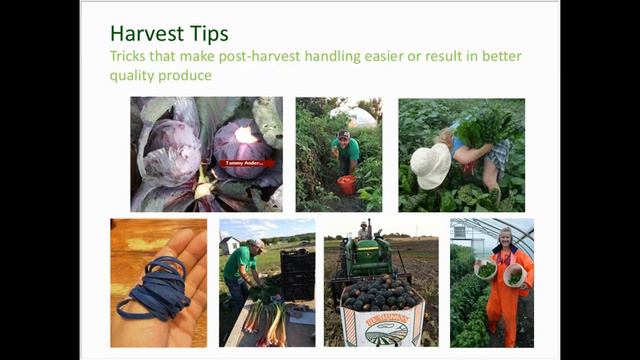 Local Foods College 2017 - Post Harvest Handling смотреть онлайн