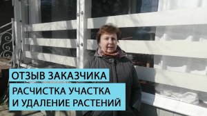 Отзыв клиента и расчистке участка и удалении неактуальных растений.