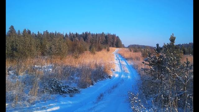 Б Пастернак  Единственные дни #стихиозиме #поэтыCеребряноговека