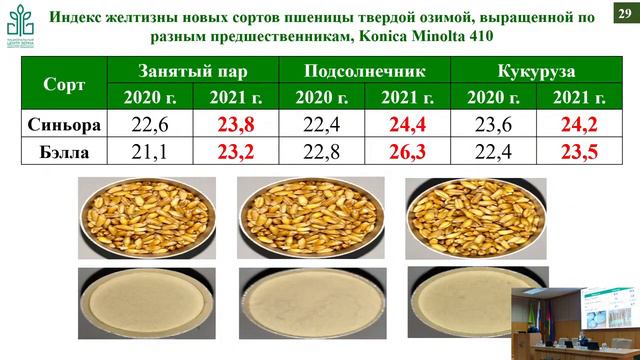 «ТВЕРДАЯ ПШЕНИЦА - ТВЕРДЫЙ ТРЕНД»