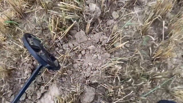 Объехал 3 урочища!коп с Deus 2,Нашел образок 12-века!#коп