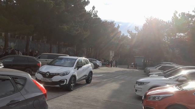 очередь в сафари парк Геленджик! смотреть онлайн