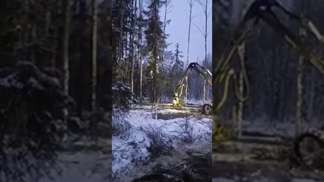 Практика на харвестере. Свалил берёзу смотреть онлайн