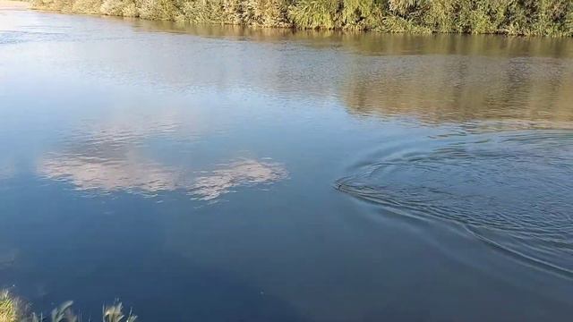 Купили дом в деревне. Гуляем по деревне. Рыбалка удалась #купилидомвдеревнекакживутвказахстане смотреть онлайн