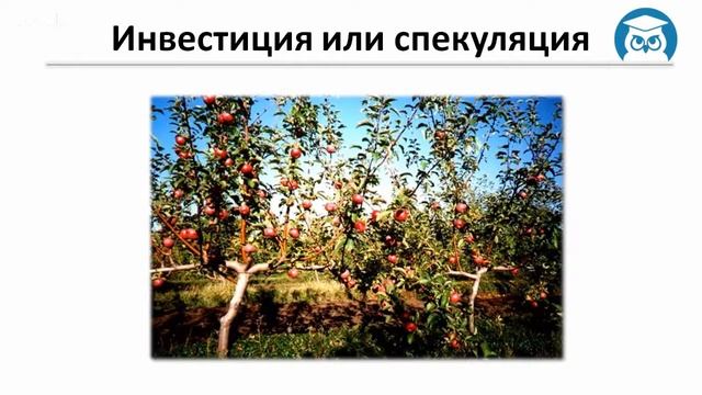 Занятие 1-5. Инвестиции или спекуляции. В чем отличие? смотреть онлайн