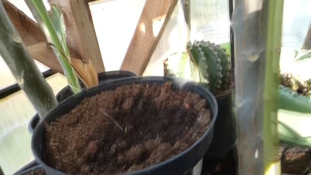 🍺🔝👍👋Odc-636-Prawie wszystko.Najlepszego w weekend majowy ! смотреть онлайн