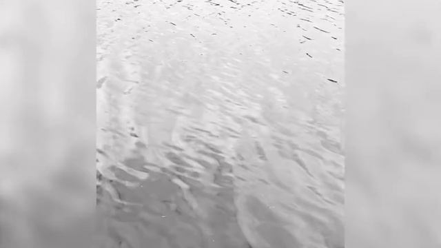 Красивые стихи.. Стихи о жизни ..Стихи о любви ... Стихи со смыслом .. Те самые .. смотреть онлайн