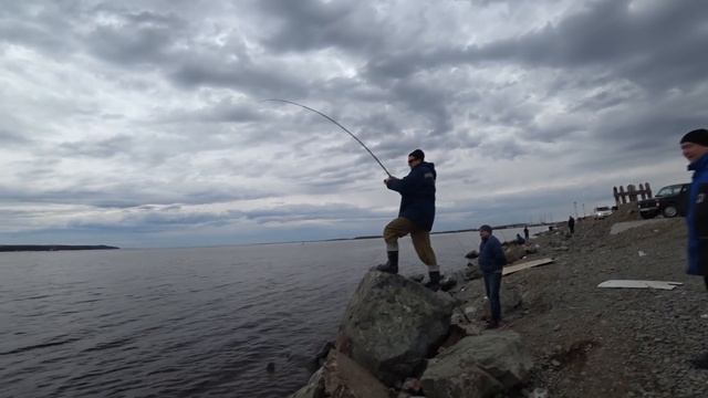 РЕКОРДНЫЙ НАЛИМ,СУПЕР ТРОФЕЙ,8КГ АДРЕНАЛИНА,РЫБАЛКА НА СЕВЕРЕ! смотреть онлайн