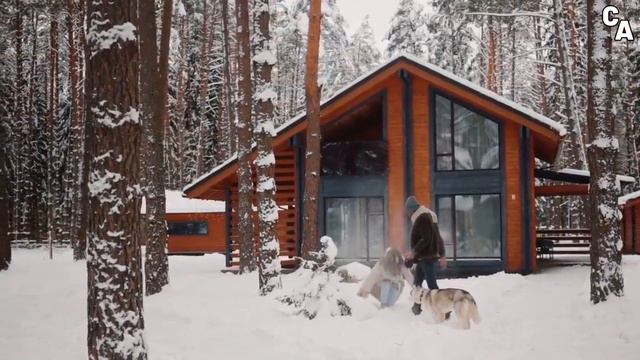 10 Facts in Husky Siberian!🦴 смотреть онлайн