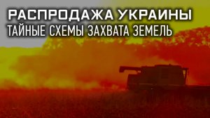 Распродажа Украины: тайные схемы захвата земель
