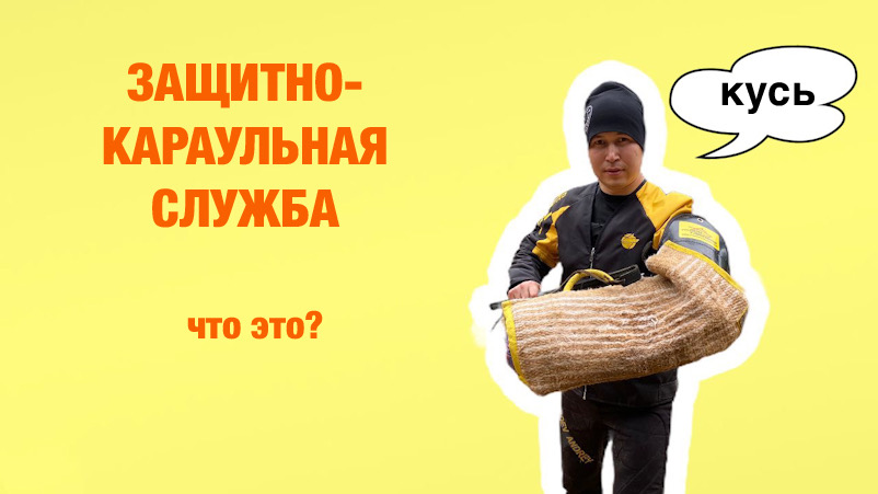 Кинология. Дрессировка собаки для работы в защите. смотреть онлайн