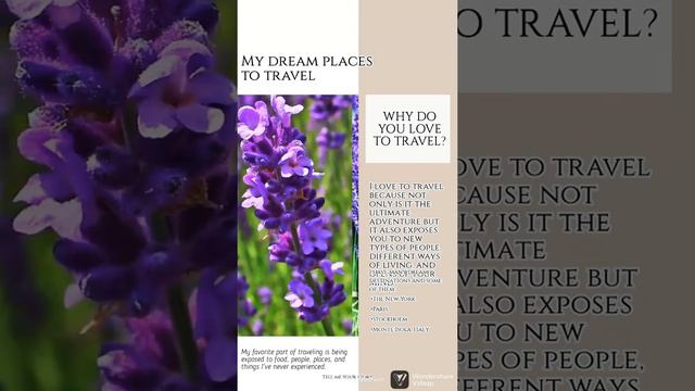 Лаванда горшечная (возможна высадка в открытый грунт) смотреть онлайн