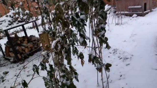 27 октября, вечер. Зима пришла? 28 октября, на улице плюс и тает снег смотреть онлайн