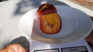 Нектарин Ванг -8.Стоит  садить или не стоит?