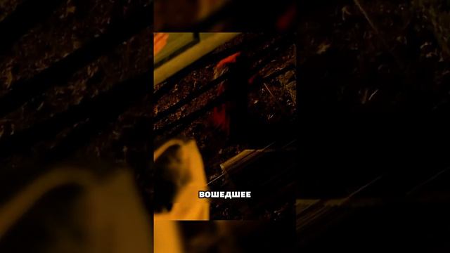 Не думали съехать? #фильм #сериал смотреть онлайн