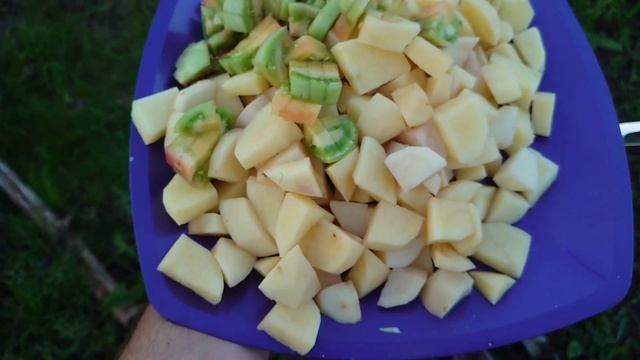 Вегетарианские Блюда и Гастрономия