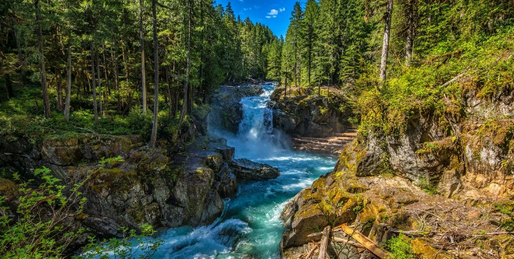 Релаксация. Лесной Ручей И Красивые Звуки Природы ✦ Relax смотреть онлайн