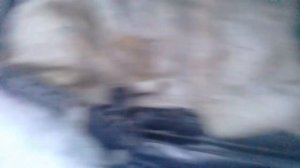 Не заводится машина. Как завести авто если не заводится. Быстрый запуск в мороз