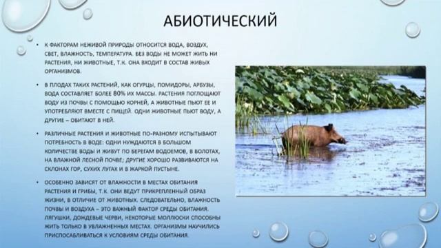 Природознавство. Фактори середовища існування. 5 клас смотреть онлайн