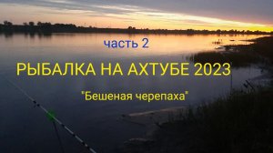 РЫБАЛКА НА АХТУБЕ 2023!!! Часть 2!!!